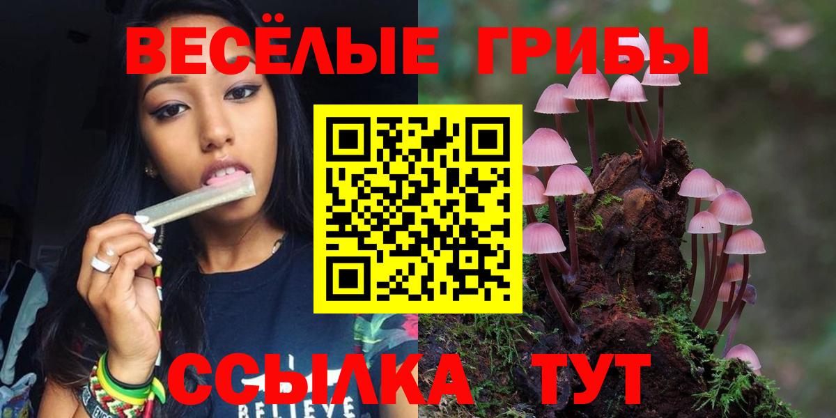 Псилоцибиновые грибы MAGIC MUSHROOMS  Псилоцибиновые грибы мухоморы  Татарск  Вход с VPN 
